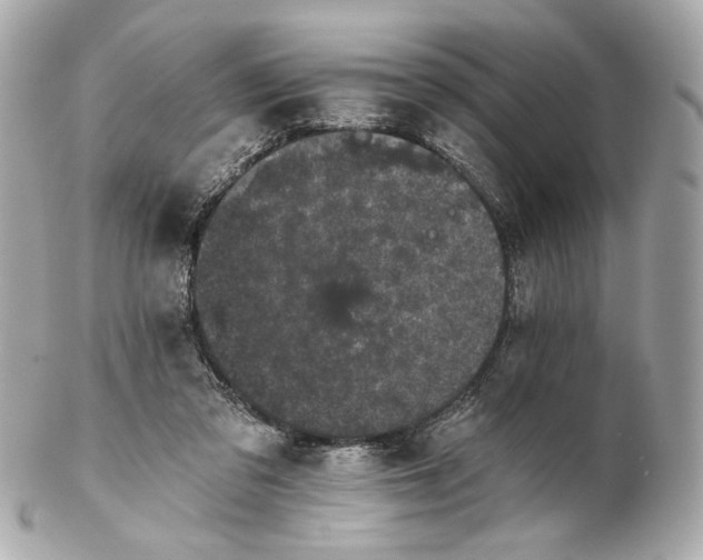 X0000102240309200808151800