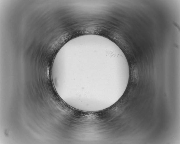 X0000102240310200808151800