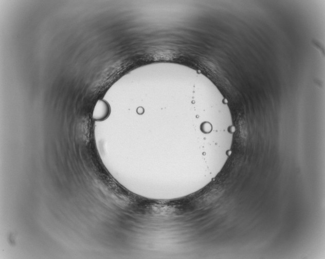 X0000102240311200808151759