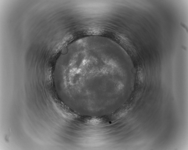 X0000102240312200808151759