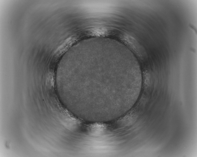 X0000102240313200808151759