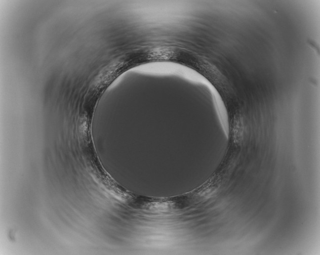 X0000102240314200808151759