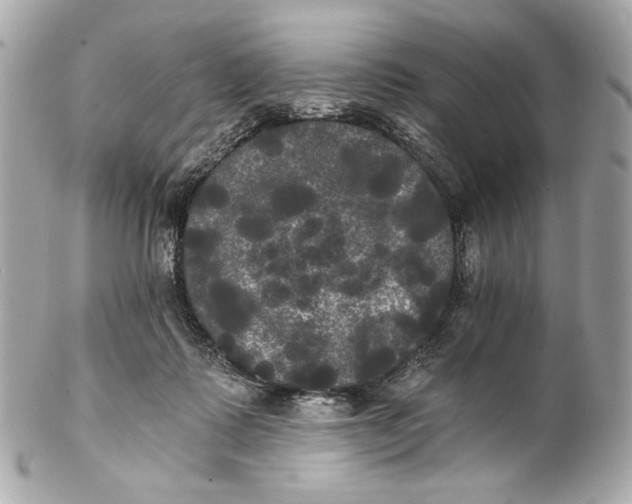 X0000102240315200808151759