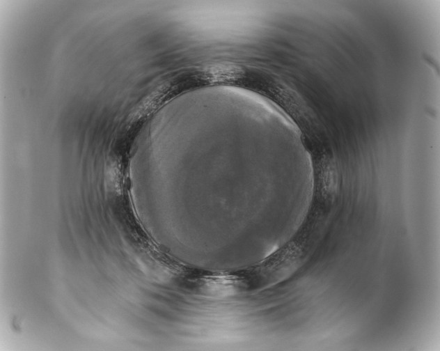 X0000102240316200808151759