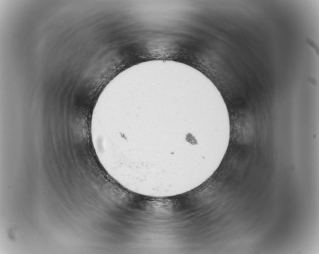 X0000102240317200808151759