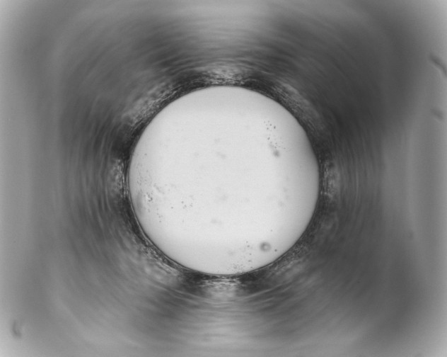 X0000102240318200808151759