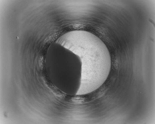 X0000102240319200808151759