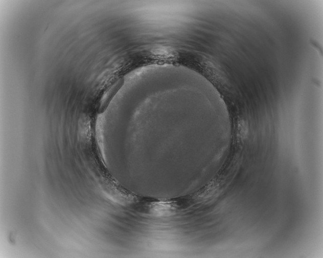 X0000102240320200808151759