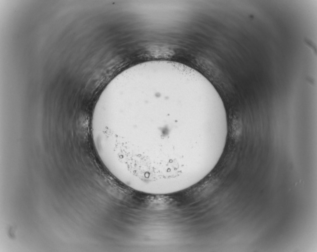 X0000102240321200808151759