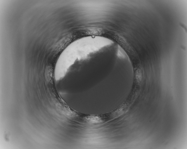 X0000102240322200808151759