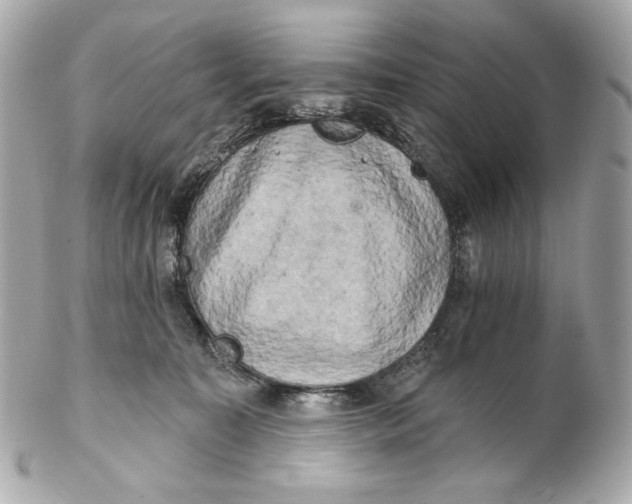 X0000102240323200808151759