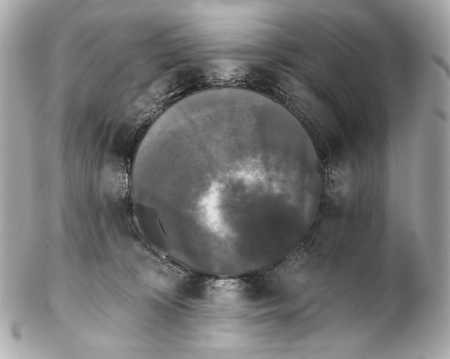 X0000102240324200808151759