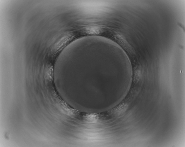 X0000102240325200808151759