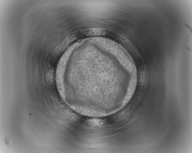 X0000102240326200808151759