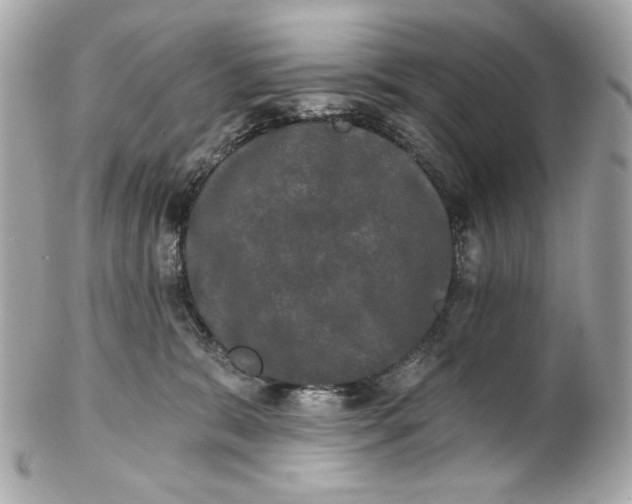 X0000102240327200808151759