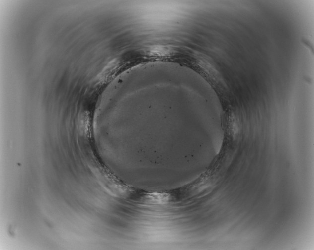 X0000102240328200808151759