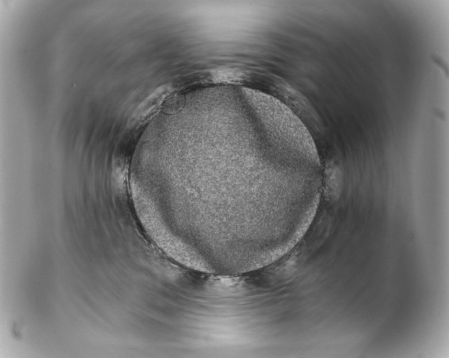 X0000102240329200808151759