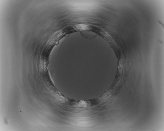 X0000102240330200808151759