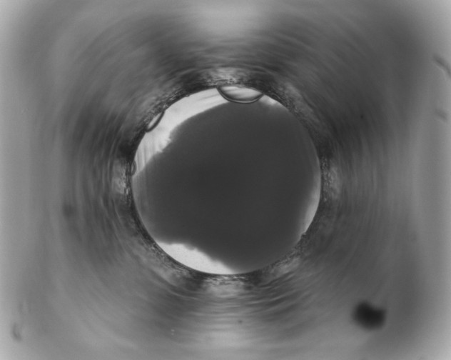 X0000102240331200808151759