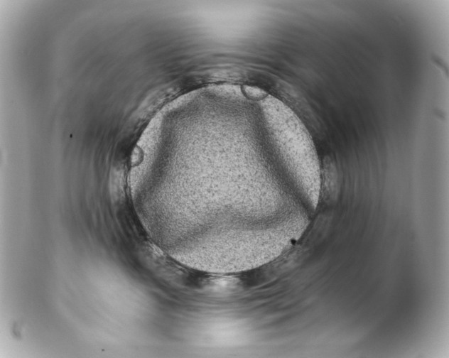 X0000102240333200808151759