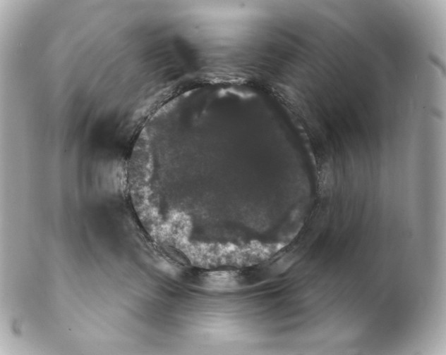 X0000102240335200808151759