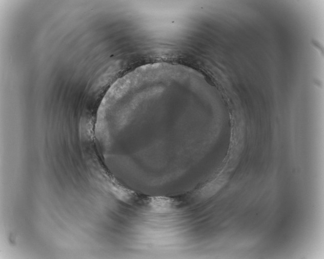 X0000102240336200808151759