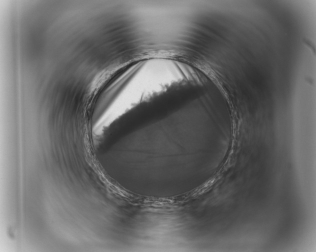 X0000102240337200808151758