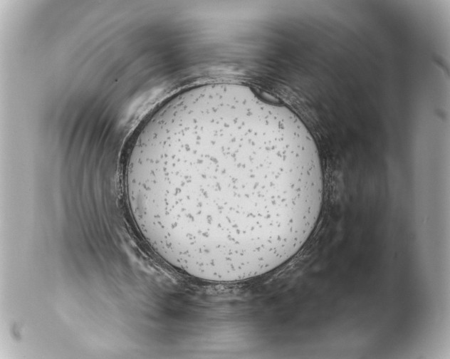 X0000102240338200808151758