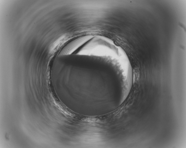 X0000102240339200808151759