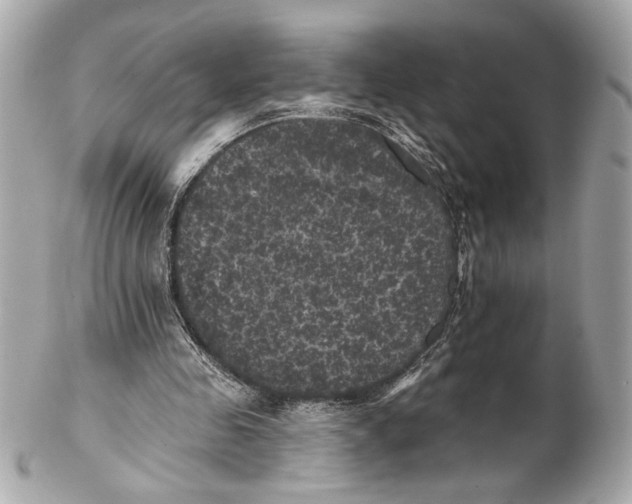 X0000102240341200808151759