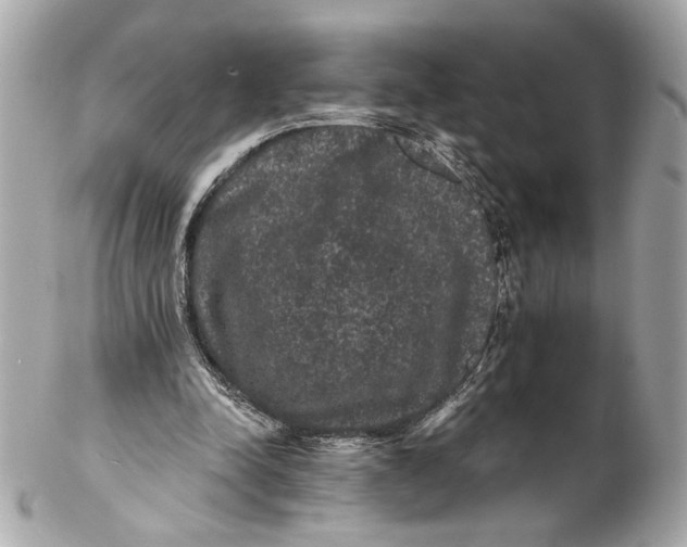 X0000102240342200808151759