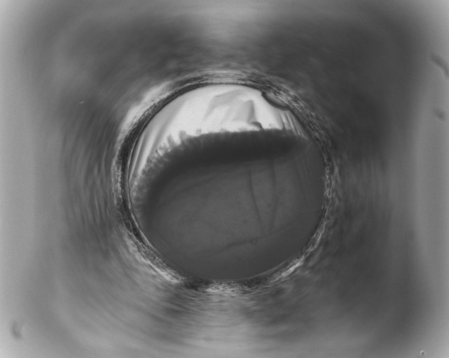 X0000102240343200808151759