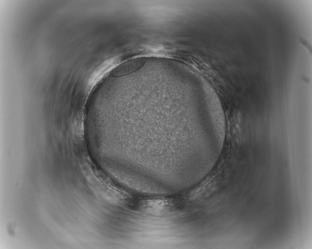 X0000102240344200808151759