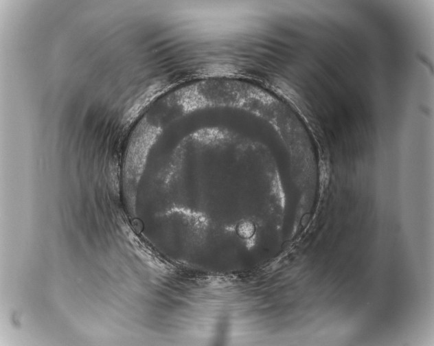 X0000102240345200808151759