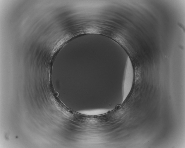 X0000102240349200808151759