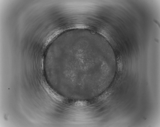 X0000102240350200808151759