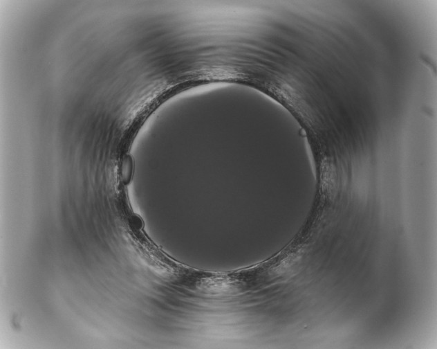 X0000102240351200808151759