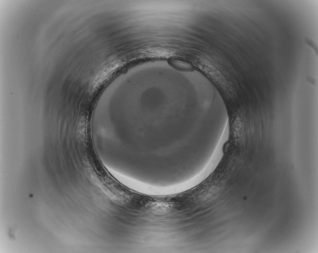 X0000102240352200808151759