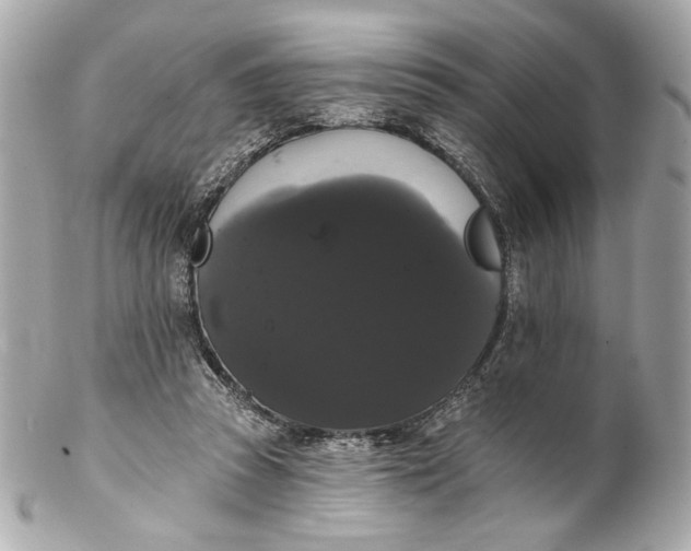 X0000102240353200808151759