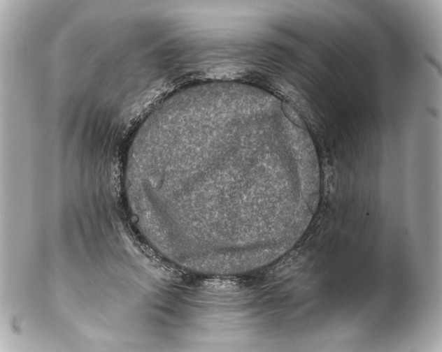 X0000102240354200808151759