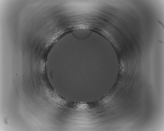 X0000102240355200808151759