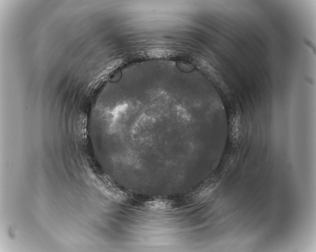 X0000102240356200808151759