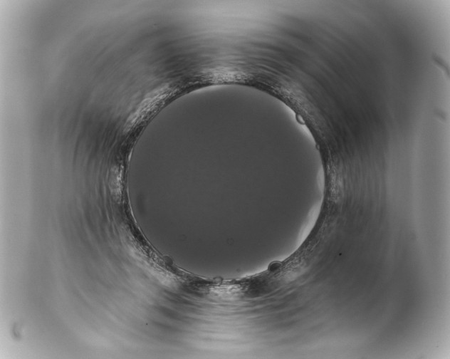 X0000102240357200808151759