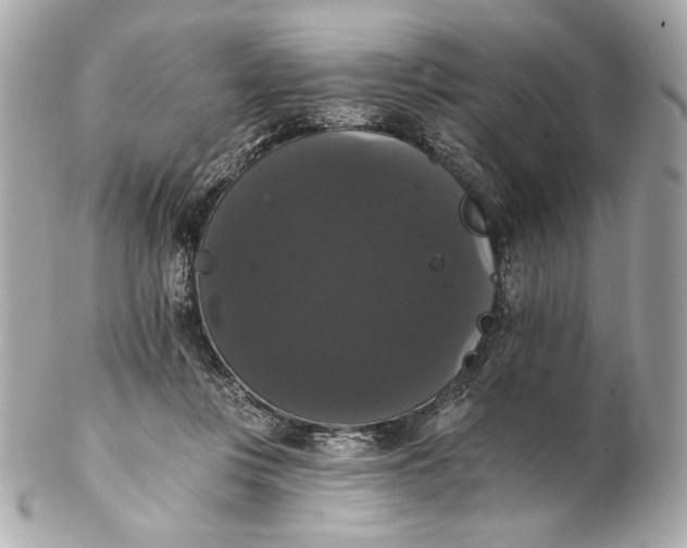 X0000102240359200808151759