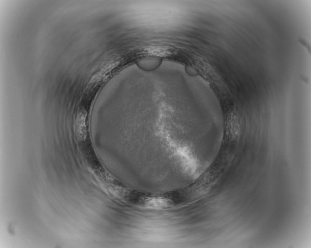 X0000102240360200808151759