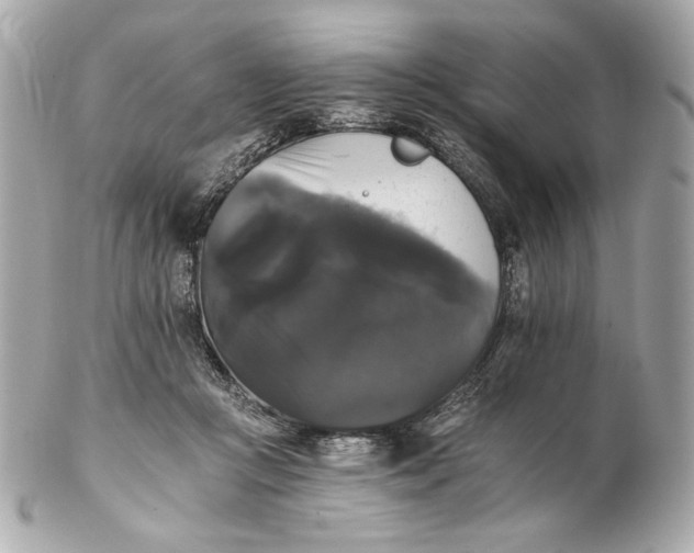 X0000102240361200808151759