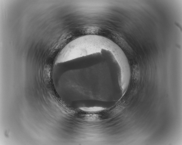 X0000102240363200808151759