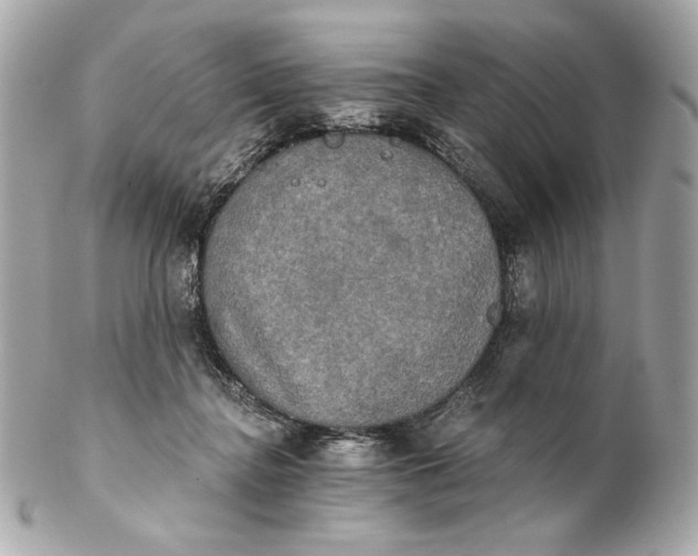 X0000102240364200808151759