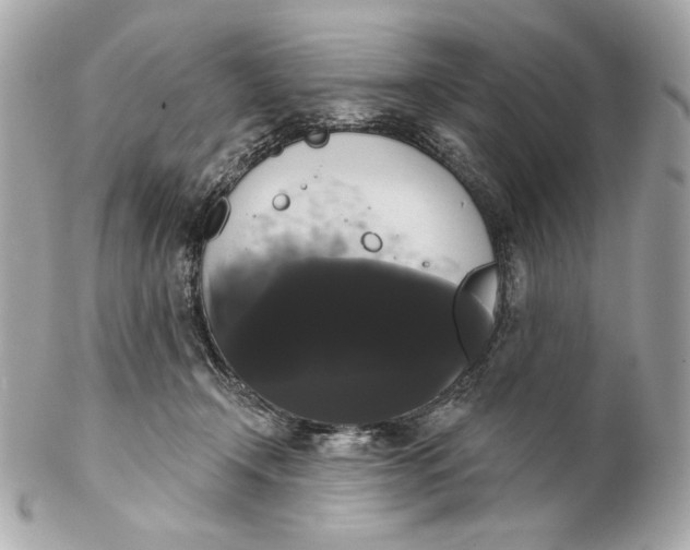 X0000102240366200808151759