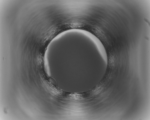 X0000102240367200808151759